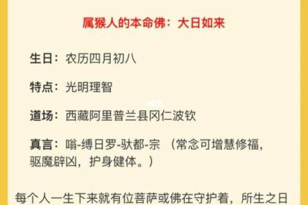 天河水命的最佳配合:和谐的命理之旅