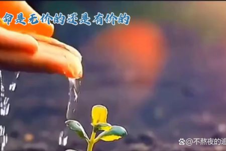 珍惜生命的选择：什么样的人值得我们用命去珍惜？