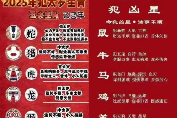 乙巳男命：配偶特点揭秘与情感指南