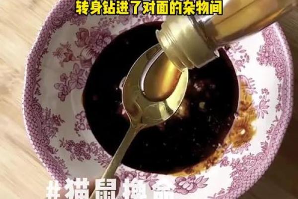 以命换命：相生相克的命运较量与深意解析