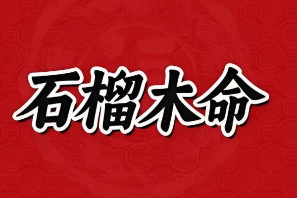 探究石榴木命男的命运特征与旺运秘笈