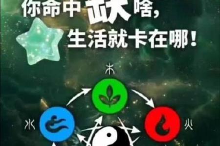 五行不缺多木,命理中的智慧与启示