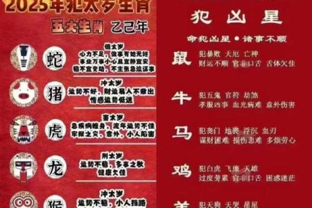 乙巳男命：配偶特点揭秘与情感指南