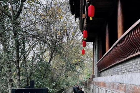 童子命的人生:家庭背景与命运交织的旅程