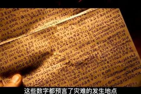 土命蛇适合什么数字车牌?揭开神秘数字的魅力!