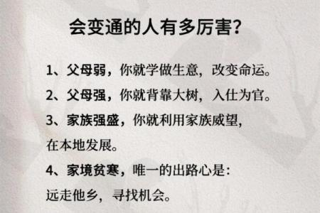 贤妻良母命的定义与探讨:她们的背后有何人生智慧?