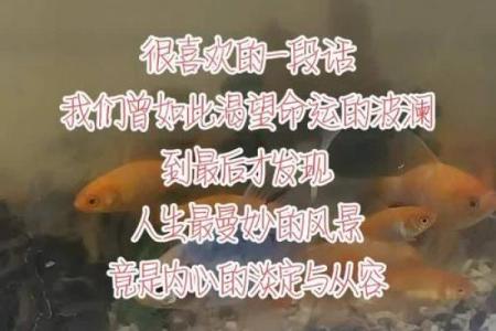 桃花命解析:情感波澜与命运交织的人生轨迹