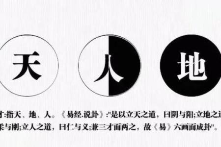 探讨上等坐禄通根身旺命理的奥秘与启示