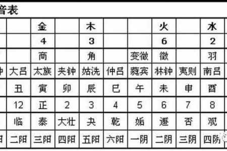 五行属性对命运的深刻影响与解析