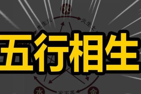 五行木命与命理相生:探索命运的和谐之道
