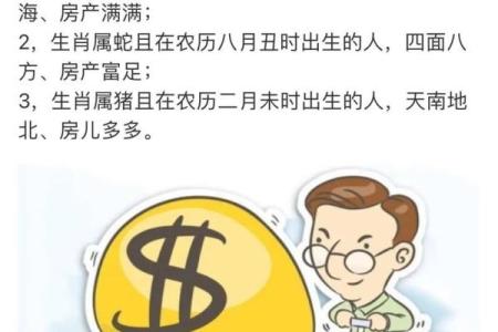 探秘属猪人的命理与命格:解码幸福人生的秘密