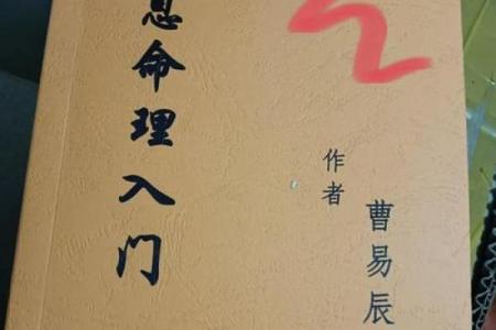 选择最佳婚姻配对:如何根据八字命理匹配理想伴侣