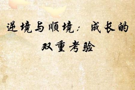 探索二金命与二木命的奥秘:命理中的深邃智慧与人生启示