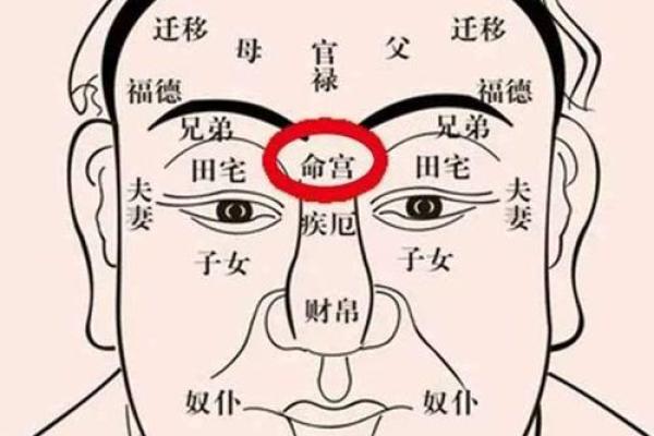 探索阴命与阳命的奥秘：人生的命理与运势