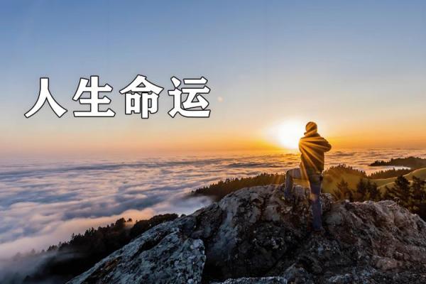 探索“时乖命命骞”：人生的意义与哲思之旅