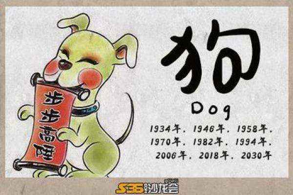 探寻属狗女性的命运与个性特征，揭示她们的生活哲学与内心世界！