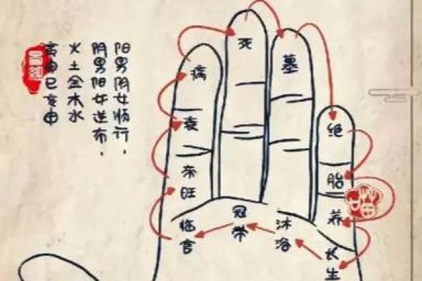 探寻五行四象与命理的奥秘：你的命运由哪些元素决定？