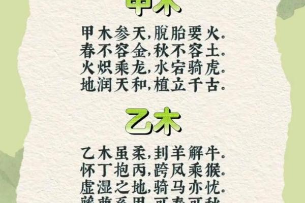 探寻甲木命的奥秘：解读命理背后的智慧与人生哲学