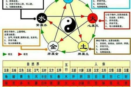 探秘石榴木命:了解这个神秘命格的内涵与影响