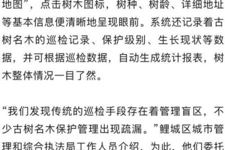 为木命人取名的智慧:打造成功人生的第一步
