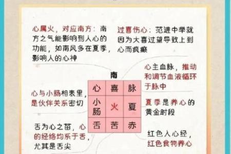 五行命理:探秘五行与个人命运的深刻联系