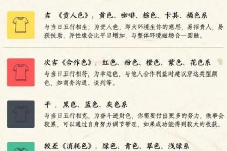 乌龟的五行命理解析:它在命运中的象征与意义