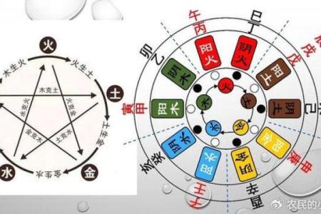 五月出生的人五行命理解析:揭示性格与未来的奥秘