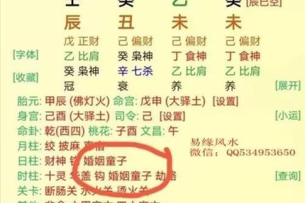 童子命与其他命格的相生相克分析