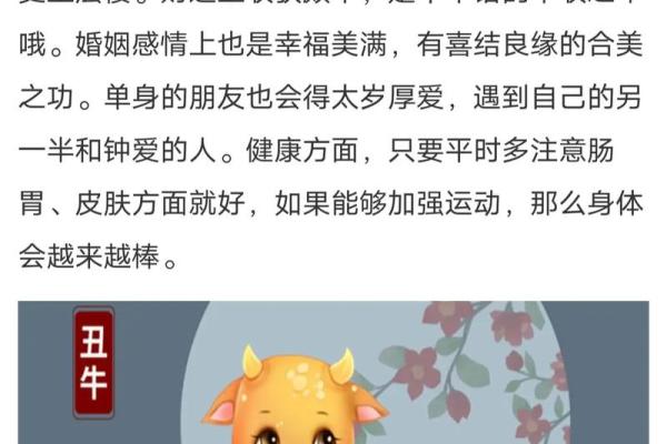探究“男命财旺官升”的深意与人生启示
