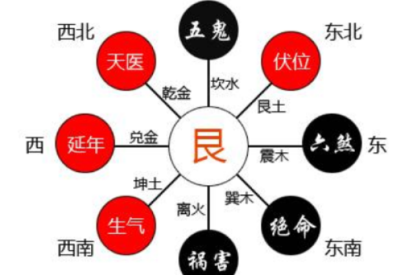 土命人的生活智慧与性格特点解析，助你更好理解土命人！