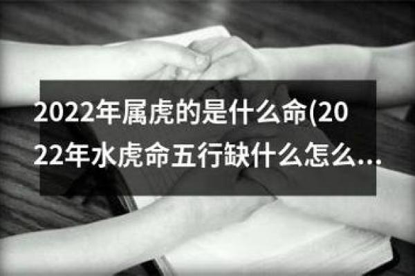 探秘十二生肖中的土豪命：财富与命运的奇妙结合