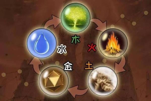 土命与木命职业选择：如何依据五行理论找到适合的工作