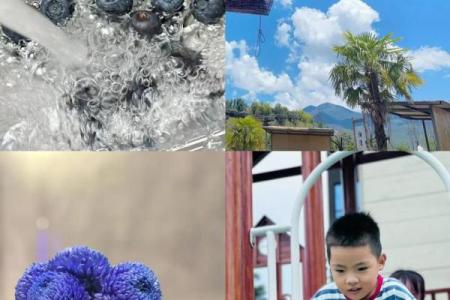 兄弟情深:相依为命的温暖与力量