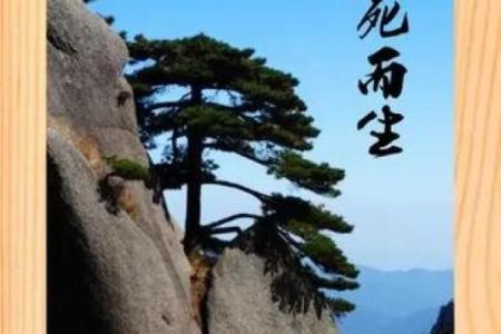 在农村,换命的意义与实质探讨:生与死之间的抉择
