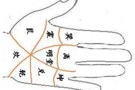 探索命理的奥秘:东命与西四命的深层解析