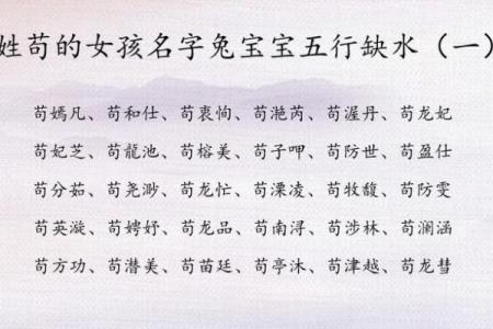 兔年出生的五行命格探究：解析你的命运与性格特点