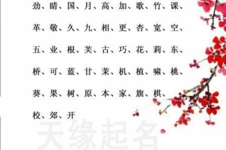 五行木命的补水补金之道:选择对的饰品与生活小贴士!