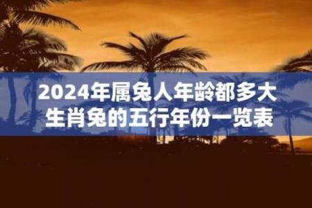 兔年生肖命运解析：1975年出生者的生活与性格探讨