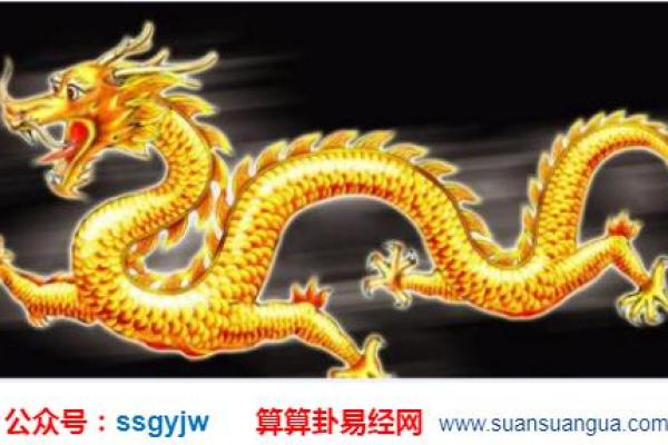阳历26号出生的命运解析：神秘数字背后的生命旅程