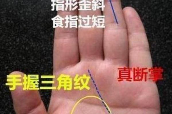 探讨“匪夫命”：男人命运的独特解读与启示