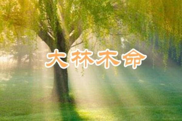 松柏木命的命理解析与最佳配合命运