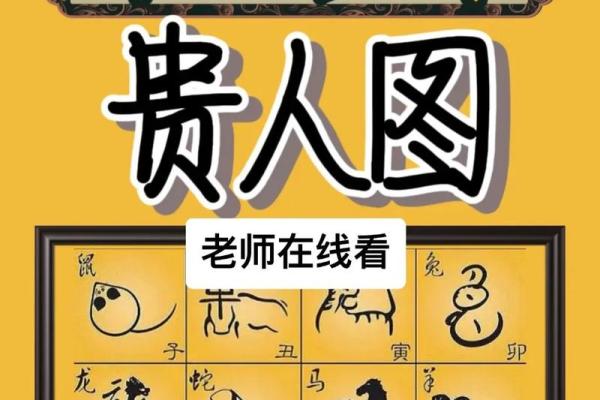 一蛇三虎命：解读男孩命运的独特密码与影响
