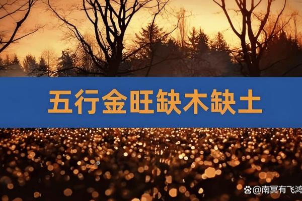 土命与富贵：解析土命与哪些命最旺财的秘诀