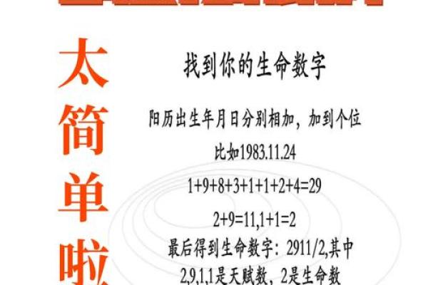 数字与命运：生日数字如何影响我们的生活与性格