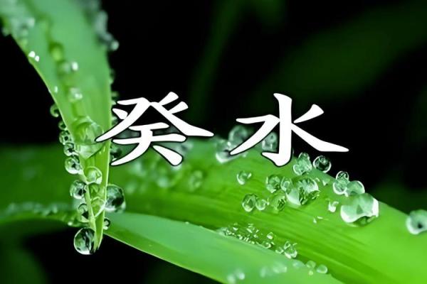 水命之人如何起名：提升运势的秘诀与技巧