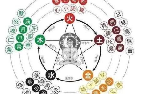 相生相克的五行命理:探索命运的奥秘与人生的智慧