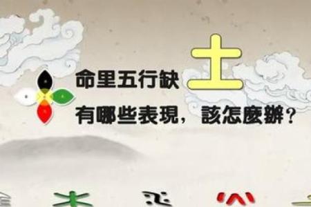 土命之人如何选择适合的命理搭配与生旺之道