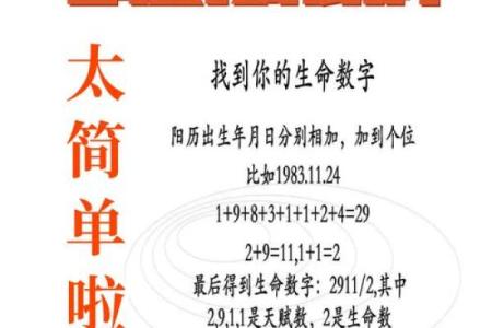 数字与命运：生日数字如何影响我们的生活与性格