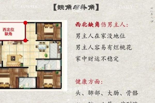探秘命理：东四命与西四命的奥妙与解析