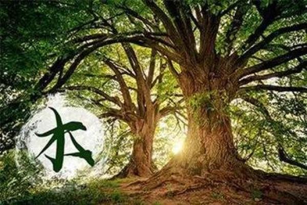 探秘木旺缺火的五行命理，发现内心的火焰与生命的意义